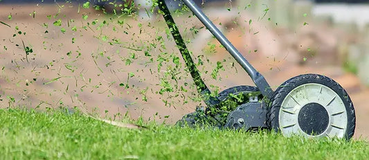 Best Weedkillers for Australian Gardens- Roundup or Not?