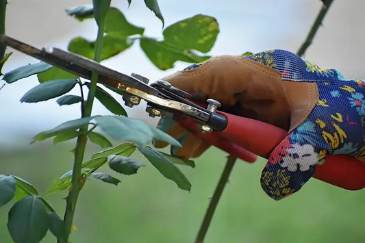 Garden gloves for thorns, heat and chemicals in Australia