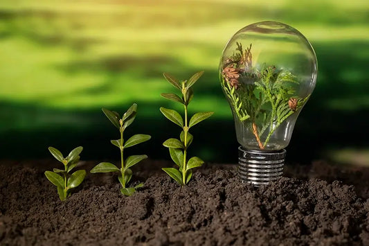 How to Choose the Right Grow Light for Indoor Plants in Australia