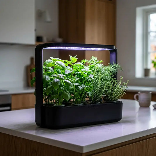  Hydroponics System is It the Right Choice for Australian Home