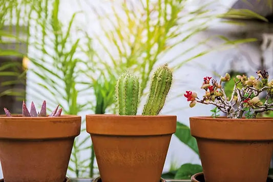 UV-resistant plant pots in different materials on a sunny Australian patio