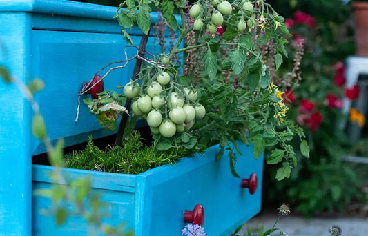 vertical planter balcony Australia