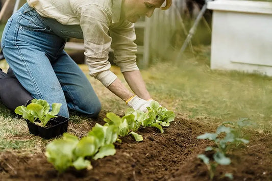 A person kneeling in a garden using a foam garden kneeler pad while planting