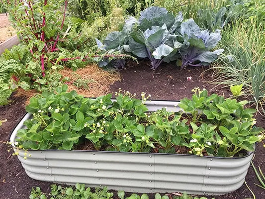 raised metal garden bed and fabric grow bags for vegetables Australia