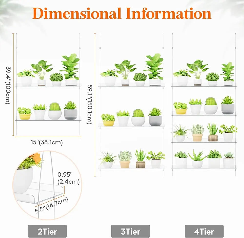 Shelf with plants and dimensional information on a white background