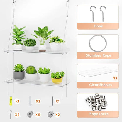 Three-tiered plant stand with plants and assembly parts on a white background