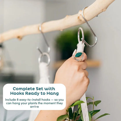 Hand holding a hook with text about a complete set of hooks for hanging plants.