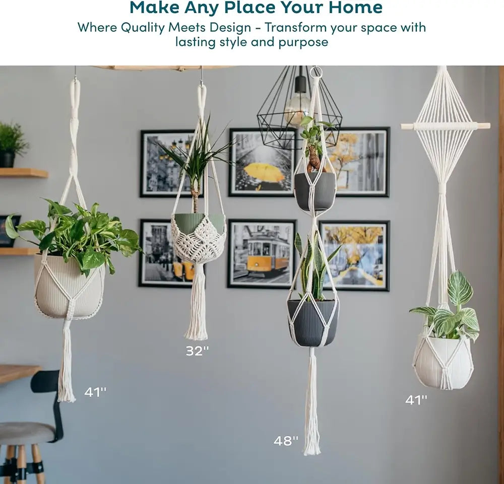 Hanging planters with plants on a wall with text about home decor.
