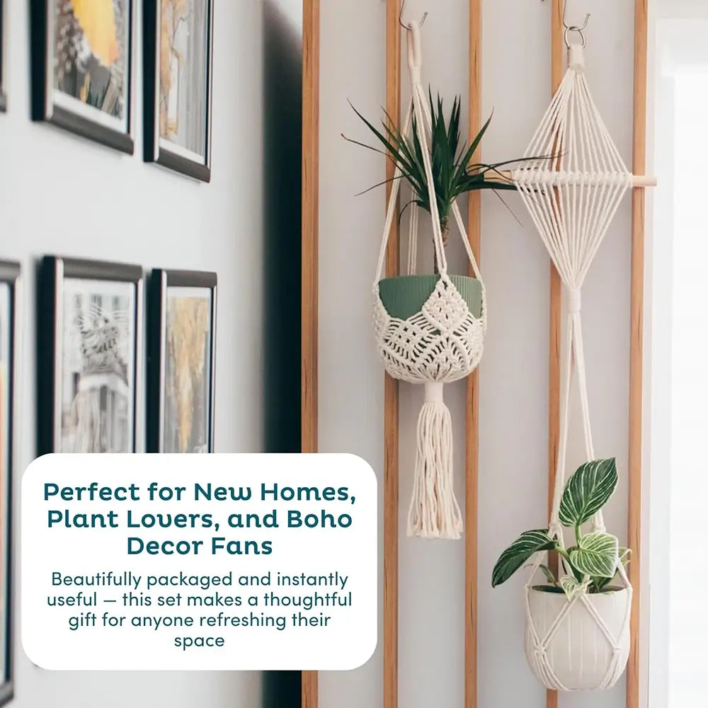 Hanging planters on a wall with text about their use.