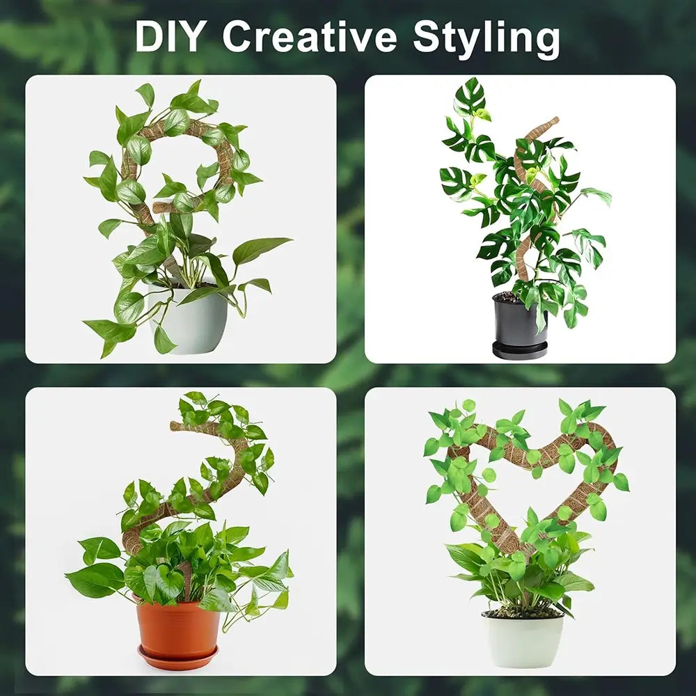Four different arrangements of potted plants with decorative elements on a green blurred background.
