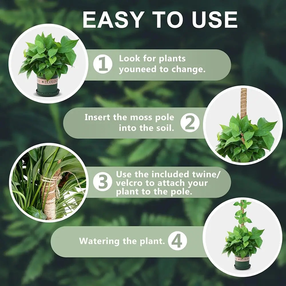 Step-by-step guide on how to use a plant support system with text and images of plants and poles.