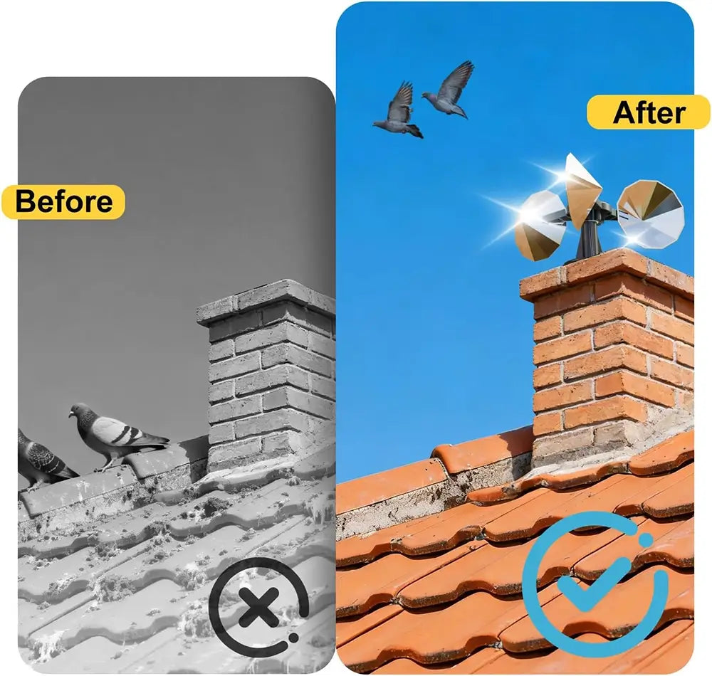 Before and after comparison of a roof with birds on it, showing a solution with a check mark.