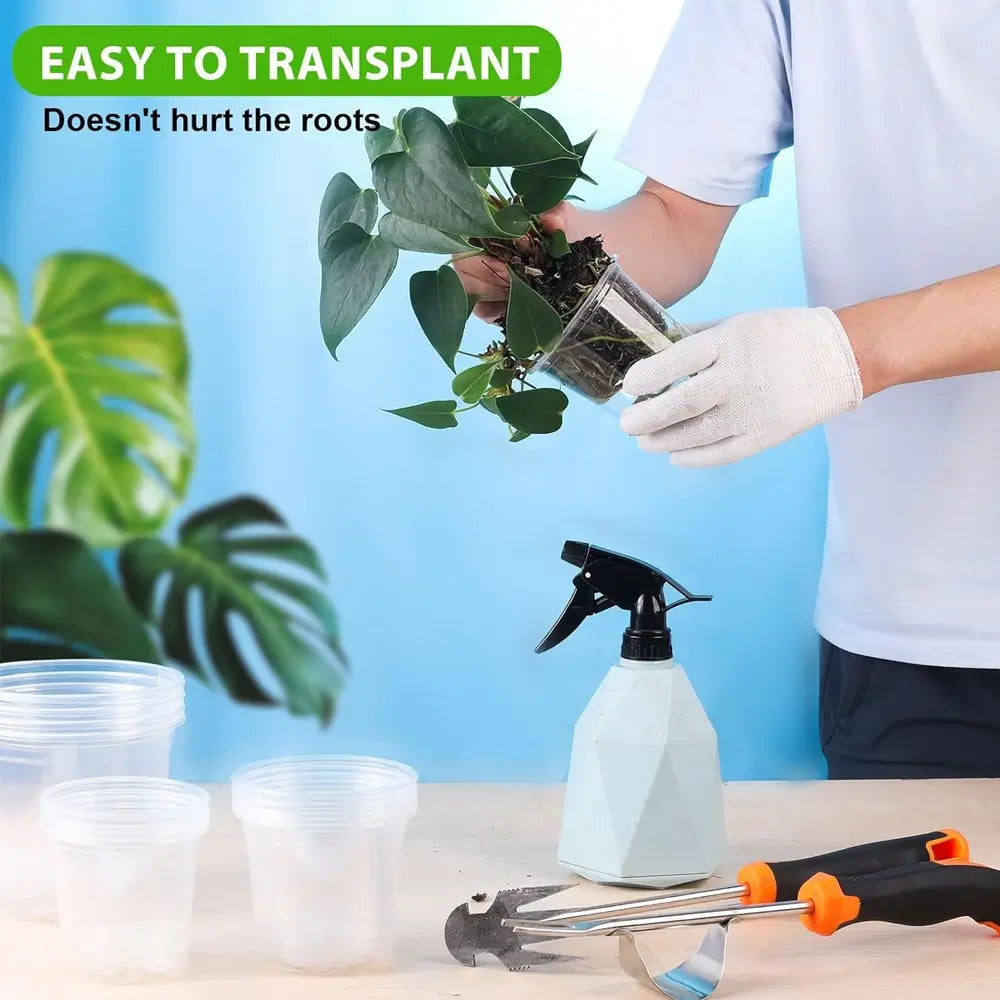 Person transplanting a plant with gardening tools and containers on a blue background