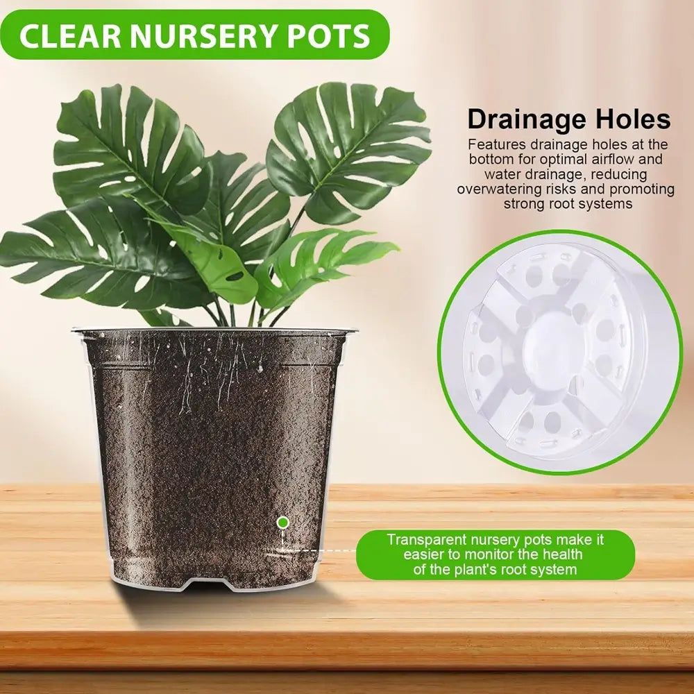 nursery pots with drainage holes for succulents