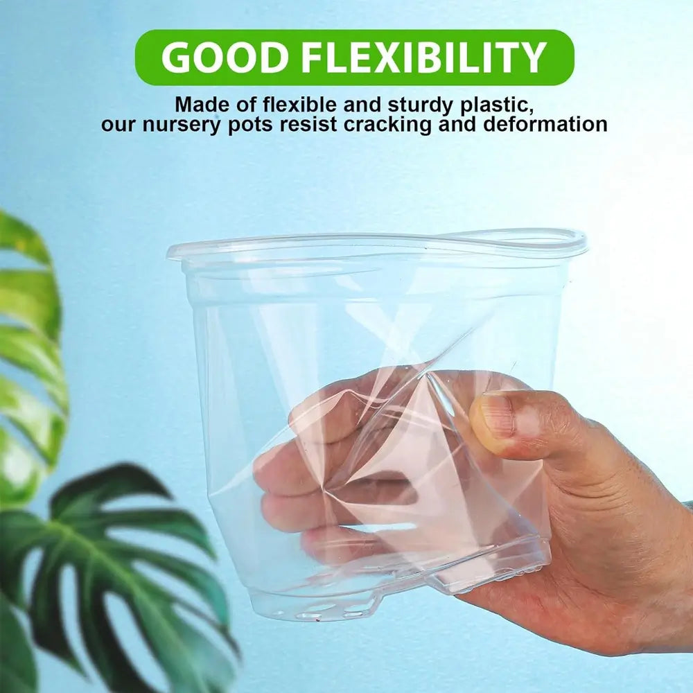 clear seedling pots for indoor plants