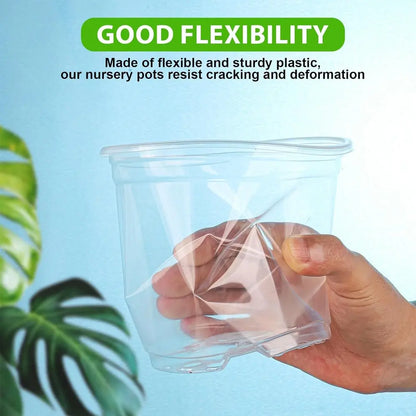 clear seedling pots for indoor plants