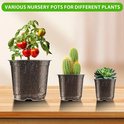 transparent plastic nursery pots 3.5 4 5 inch