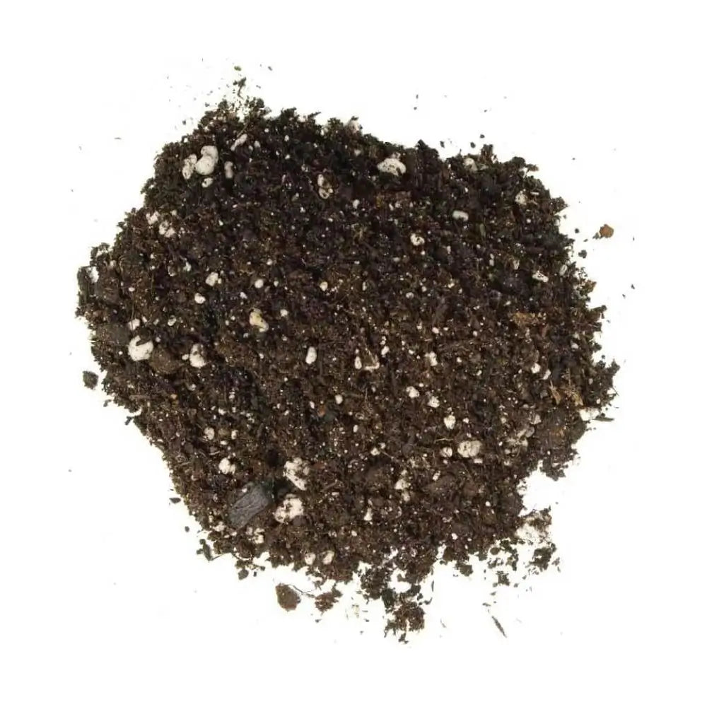 Dark brown soil or compost on a white background