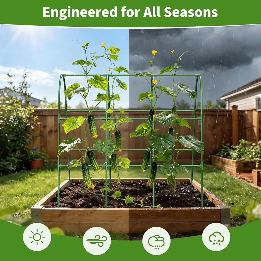Garden trellis with plants in a raised bed, weather conditions icons at the bottom