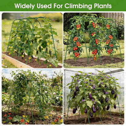 Garden trellis system supporting climbing plants with text 'Widely Used For Climbing Plants'.