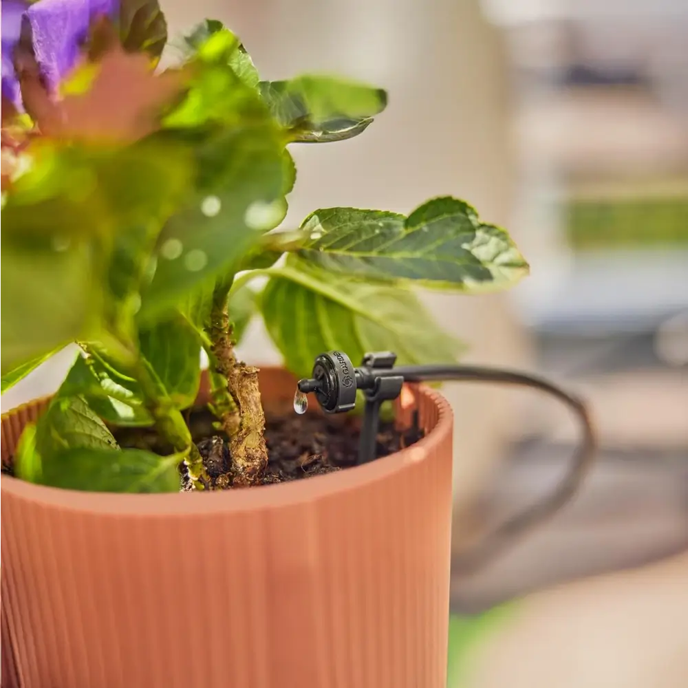 Potted plant with a small water pump attached, likely for self-watering system.