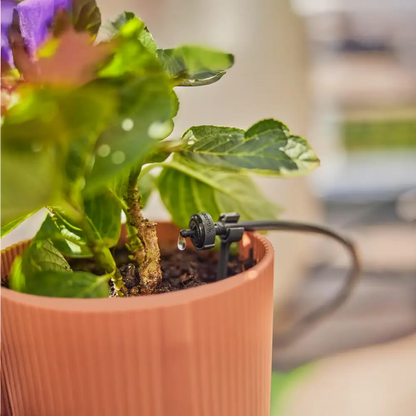 Potted plant with a small water pump attached, likely for self-watering system.