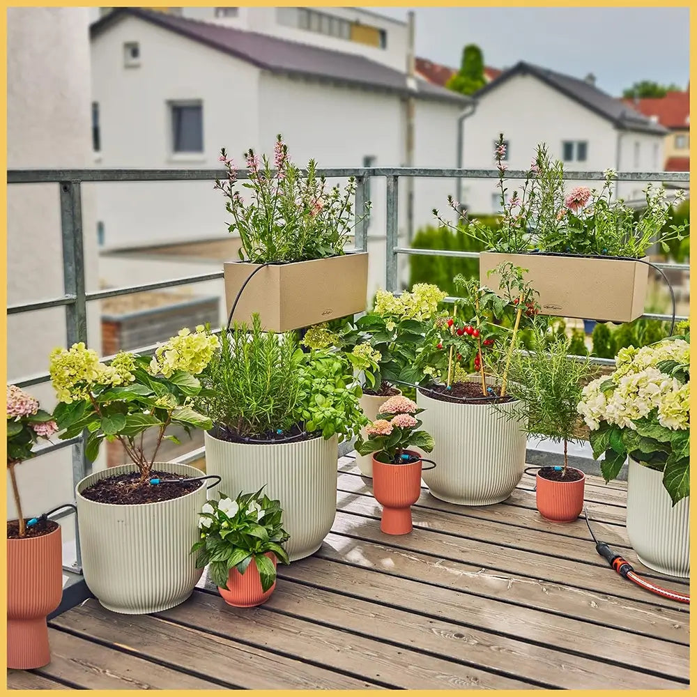 Collection of potted plants on a wooden deck with a residential background