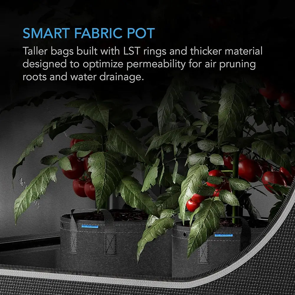 Smart fabric pots with plants and tomatoes, featuring text about their design.