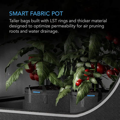 Smart fabric pots with plants and tomatoes, featuring text about their design.