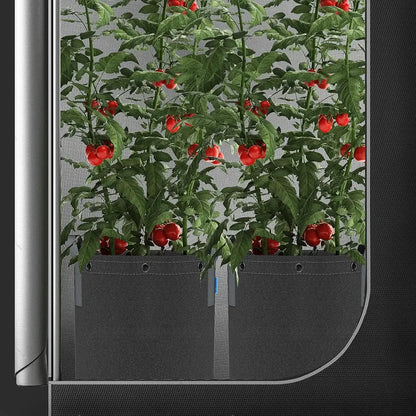 Vertical garden with red fruits in a Fabric Pots on a black background