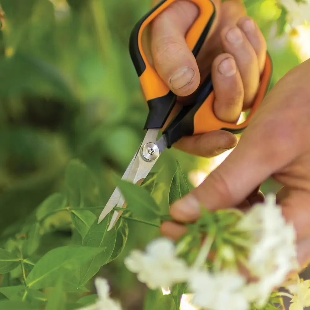 Person using orange and black pruning shears to trim a plant with green leaves and white flowers.