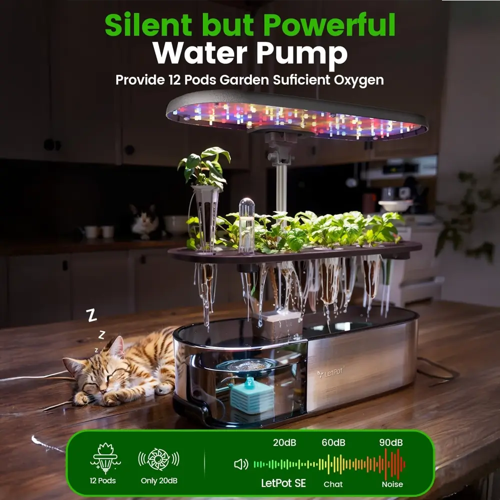 Water pump with LED lights and plants on a table, cat lying nearby.