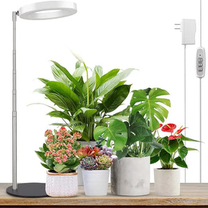 LORDEM LED Grow Light for Indoor Plants