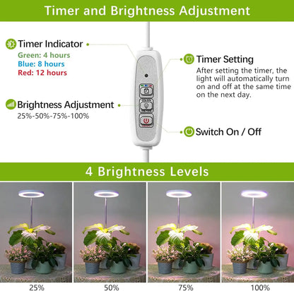 Control panel for adjusting timer and brightness with corresponding light effects on plants.