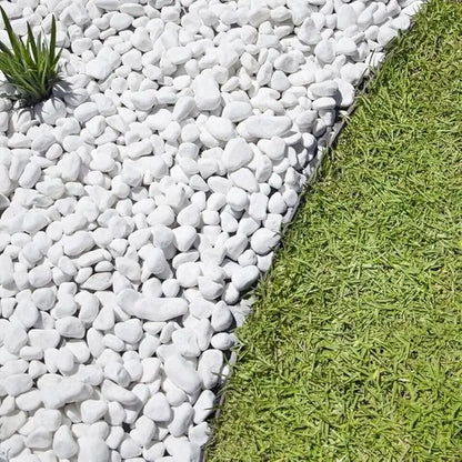 White decorative pebbles arranged in a garden bed beside green grass, with a small green plant growing among the stones.