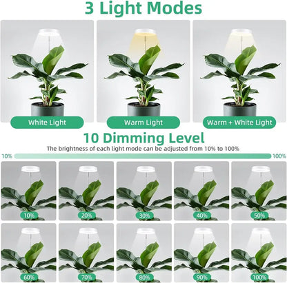 Lighting fixture with 3 light modes and 10 dimming levels displayed on a plant.