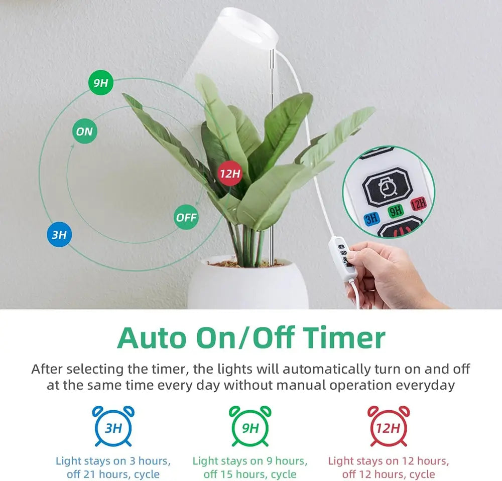 Auto on/off timer with plant and hand holding it against a light gray background