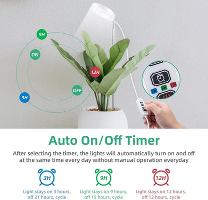 Auto on/off timer with plant and hand holding it against a light gray background