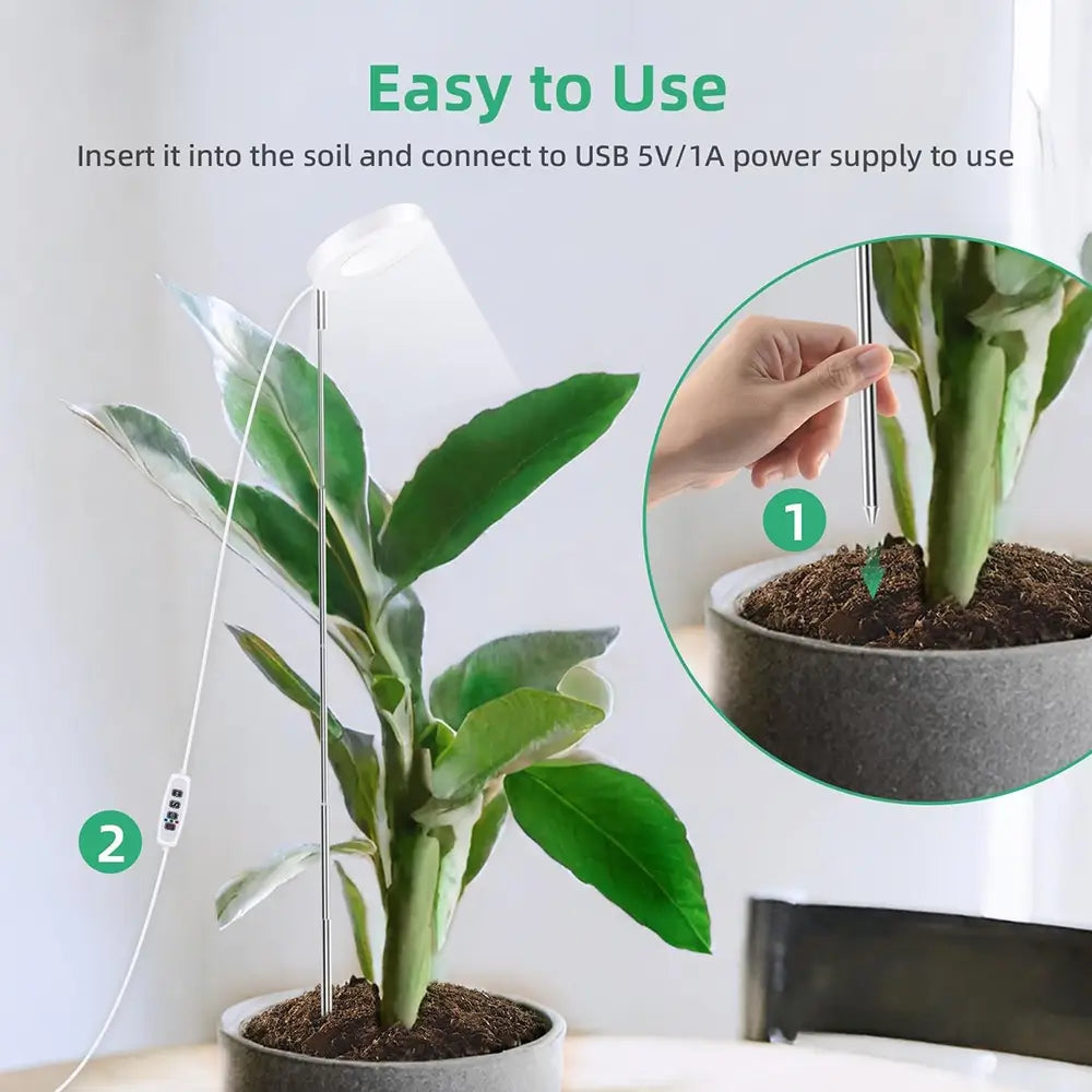 Plant with a USB device inserted into it, showing how to use it.