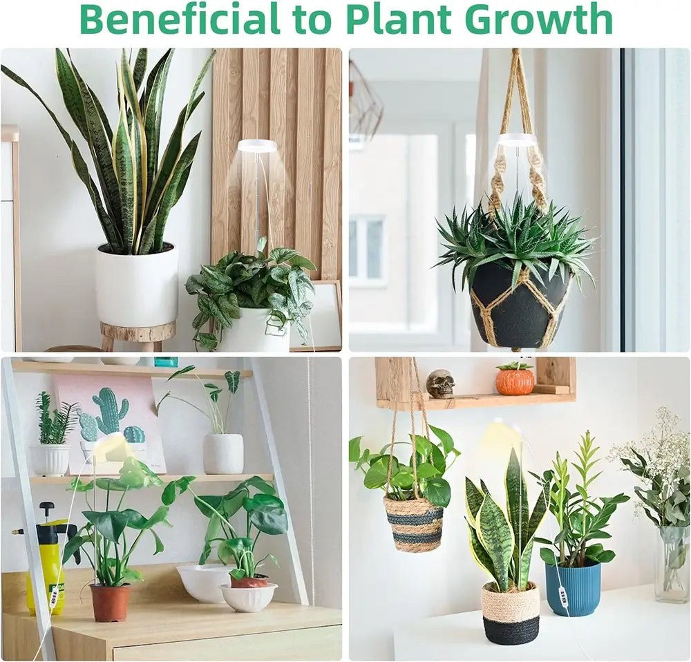 Collage of indoor plants in various pots and settings with text 'Beneficial to Plant Growth'.