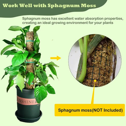 Potted plant with sphagnum moss and text about its water absorption properties on a green background.