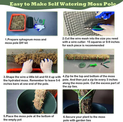 Step-by-step guide on how to make a self-watering moss pole with images and text instructions.