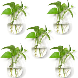 Fashionstorm 5-Pack Glass Wall Hanging Planters