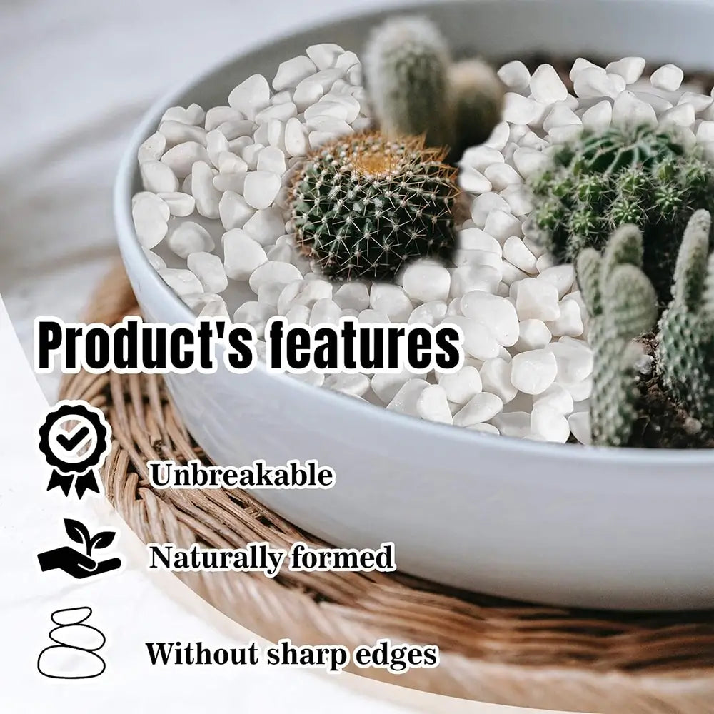 Cactus in a pot with pebbles on a wooden surface, featuring text about product features.