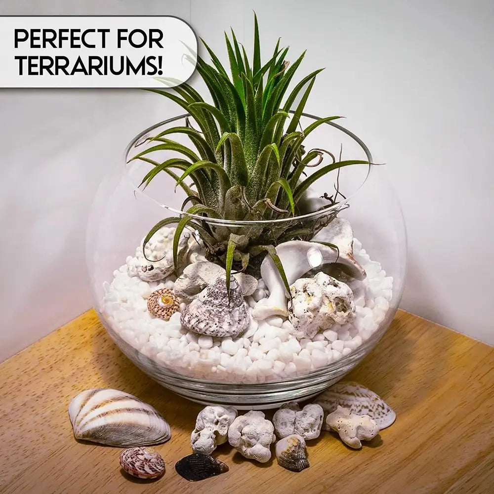 Terrarium with plants, stones, and pebbles on a wooden surface.