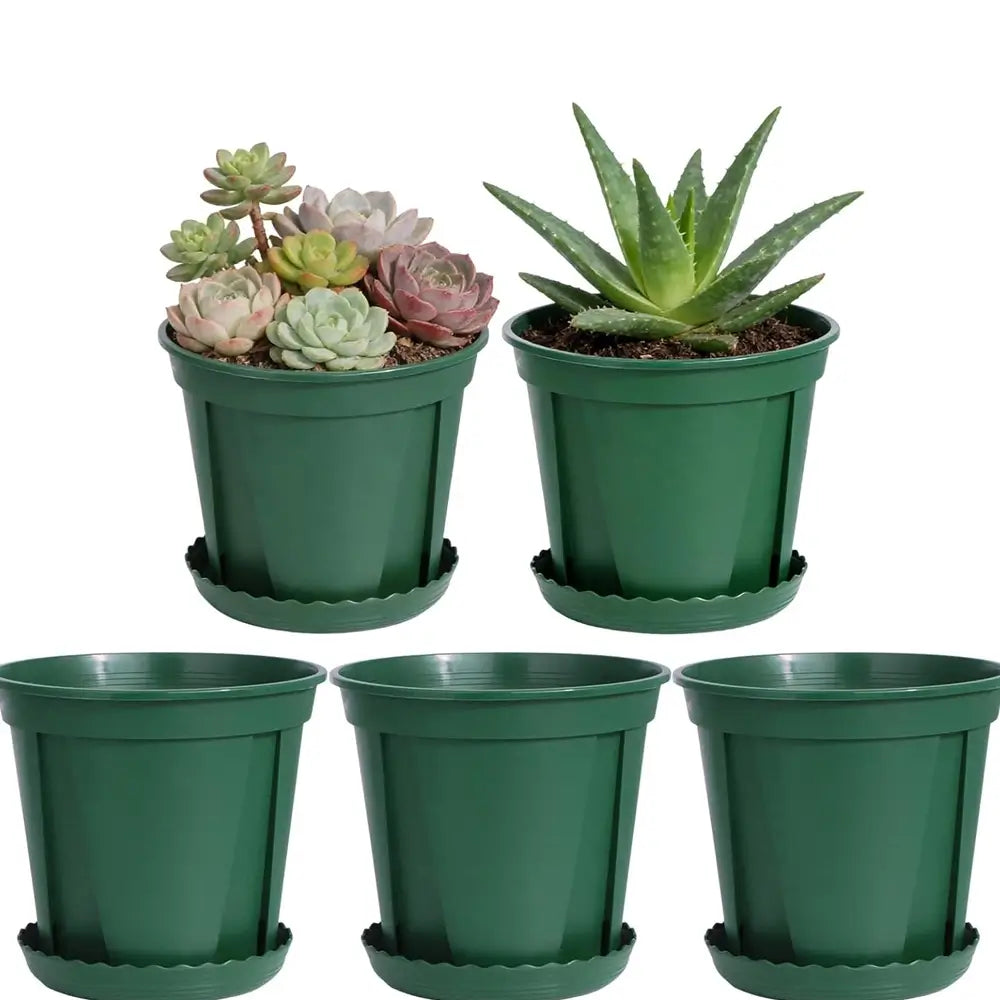 Set of green pots with plants on a white background