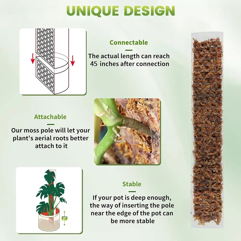 Moss pole with text explaining its unique design features on a green background