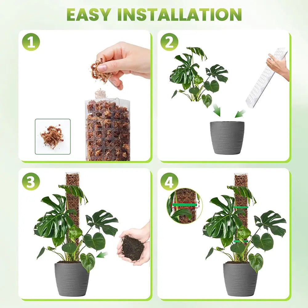 Step-by-step guide to plant installation with text 'Easy Installation' at the top.