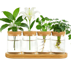 Glass Propagation Station with Wooden Stand - Set of 4