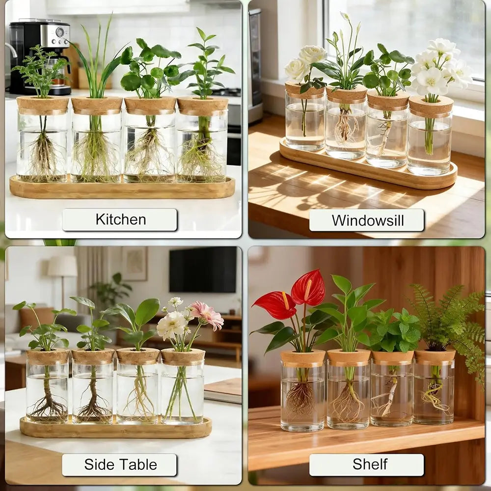 Glass Propagation Station with Wooden Stand - Set of 4